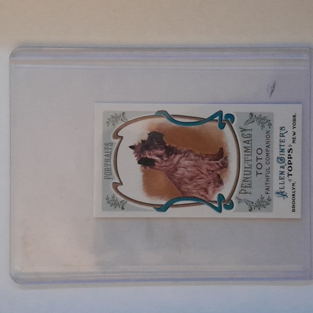 2011 Allen & Ginters Topps "TOTO" card